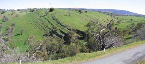 Folded limestone cuesta