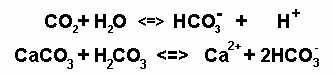 Chemical Equations